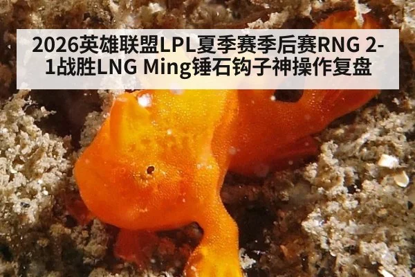 2026英雄联盟LPL夏季赛季后赛RNG 2-1战胜LNG Ming锤石钩子神操作复盘